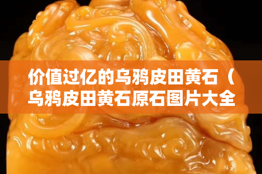 价值过亿的乌鸦皮田黄石（乌鸦皮田黄石原石图片大全）