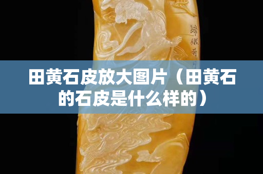 田黄石皮放大图片（田黄石的石皮是什么样的）