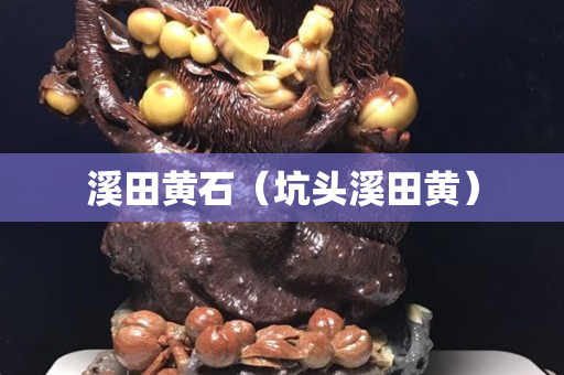 溪田黄石（坑头溪田黄）