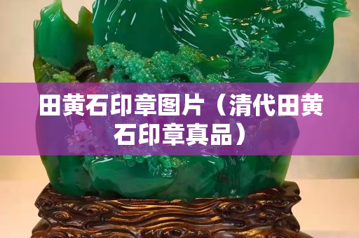 田黄石印章图片（清代田黄石印章真品）