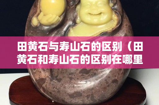 田黄石与寿山石的区别（田黄石和寿山石的区别在哪里）