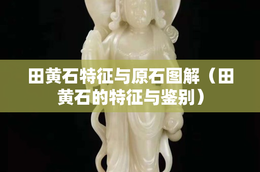 田黄石特征与原石图解（田黄石的特征与鉴别）