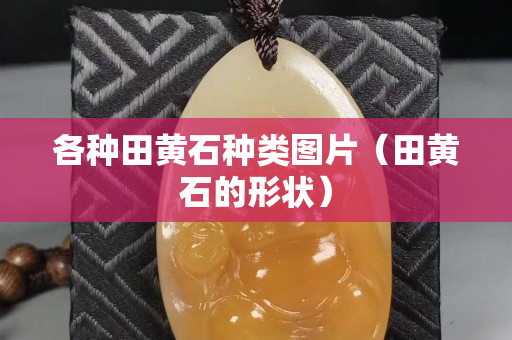 各种田黄石种类图片（田黄石的形状）