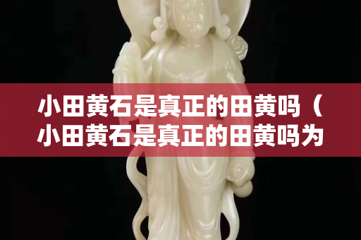 小田黄石是真正的田黄吗（小田黄石是真正的田黄吗为什么）