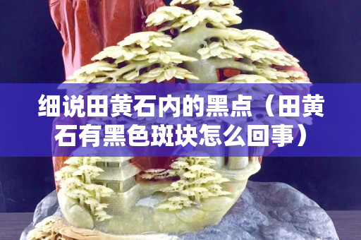 细说田黄石内的黑点（田黄石有黑色斑块怎么回事）