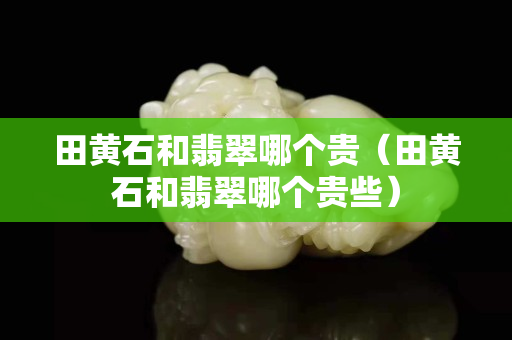 田黄石和翡翠哪个贵（田黄石和翡翠哪个贵些）