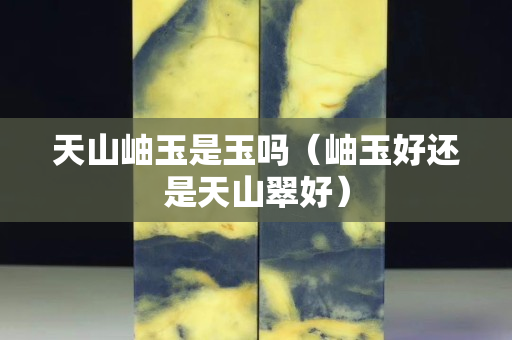 天山岫玉是玉吗（岫玉好还是天山翠好）