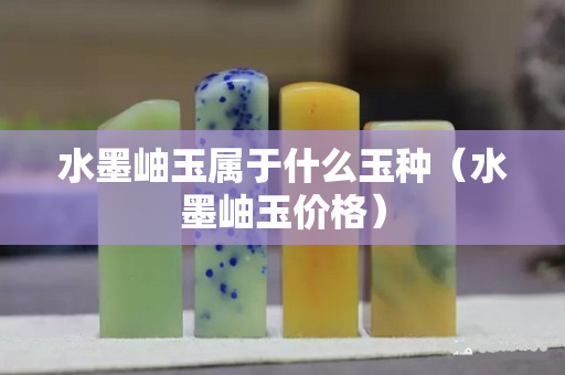水墨岫玉属于什么玉种（水墨岫玉价格）
