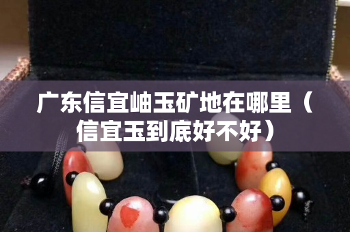 广东信宜岫玉矿地在哪里（信宜玉到底好不好）