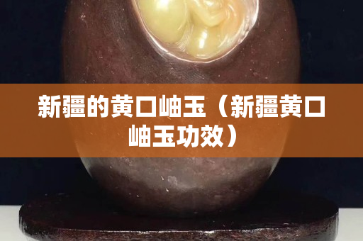 新疆的黄口岫玉（新疆黄口岫玉功效）