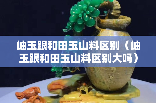 岫玉跟和田玉山料区别（岫玉跟和田玉山料区别大吗）