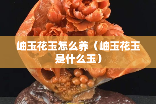 岫玉花玉怎么养（岫玉花玉是什么玉）