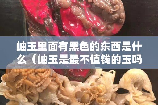 岫玉里面有黑色的东西是什么（岫玉是最不值钱的玉吗）