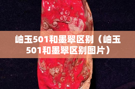 岫玉501和墨翠区别（岫玉501和墨翠区别图片）