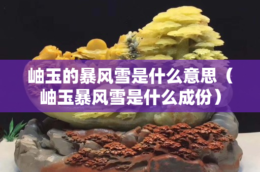 岫玉的暴风雪是什么意思（岫玉暴风雪是什么成份）