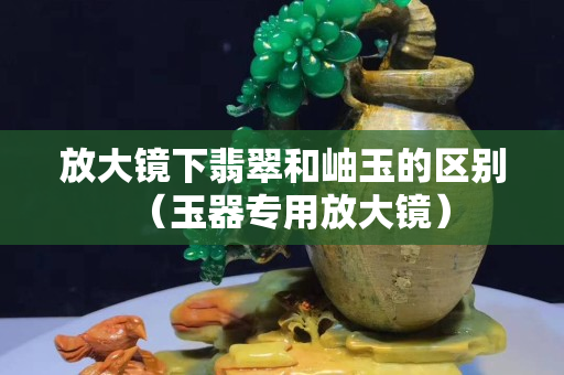放大镜下翡翠和岫玉的区别（玉器专用放大镜）