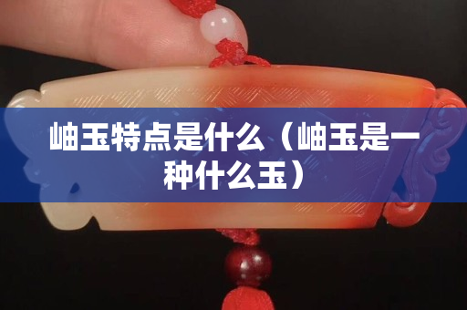 岫玉特点是什么（岫玉是一种什么玉）