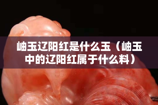 岫玉辽阳红是什么玉（岫玉中的辽阳红属于什么料）