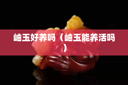 岫玉好养吗（岫玉能养活吗）