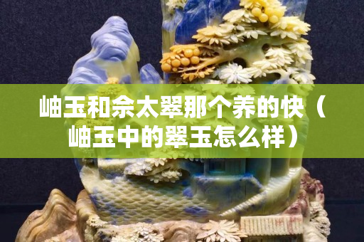 岫玉和佘太翠那个养的快（岫玉中的翠玉怎么样）