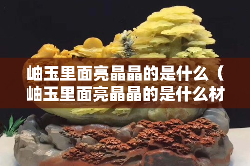 岫玉里面亮晶晶的是什么（岫玉里面亮晶晶的是什么材质）