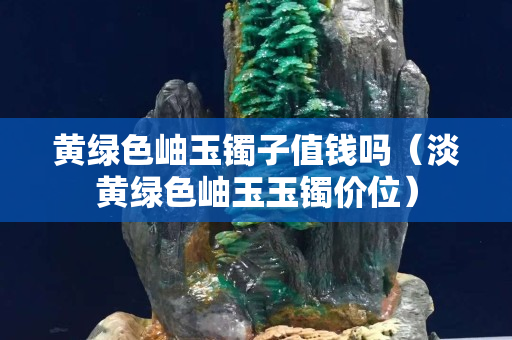 黄绿色岫玉镯子值钱吗（淡黄绿色岫玉玉镯价位）