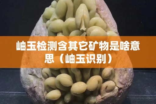岫玉检测含其它矿物是啥意思（岫玉识别）