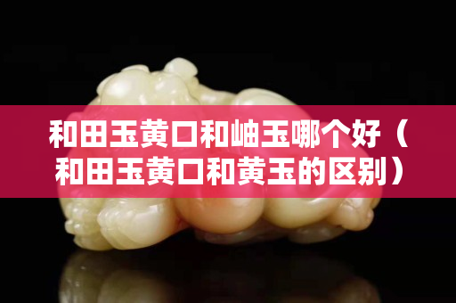 和田玉黄口和岫玉哪个好（和田玉黄口和黄玉的区别）