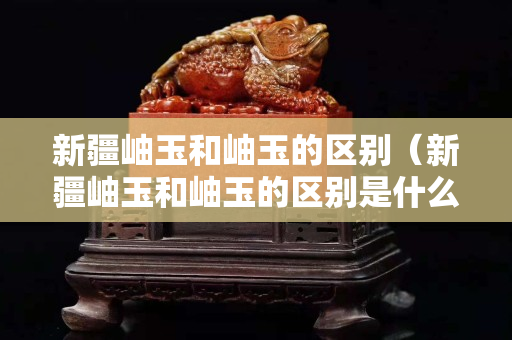 新疆岫玉和岫玉的区别（新疆岫玉和岫玉的区别是什么）