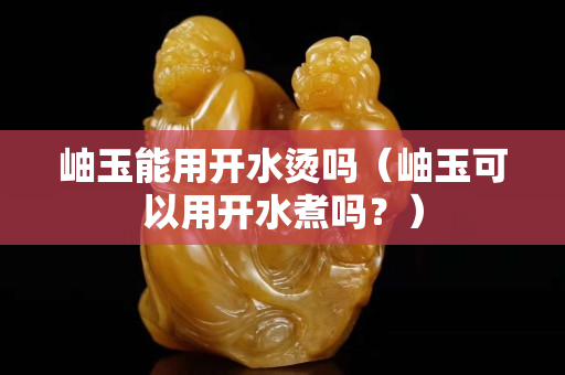 岫玉能用开水烫吗（岫玉可以用开水煮吗？）