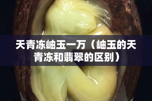 天青冻岫玉一万（岫玉的天青冻和翡翠的区别）