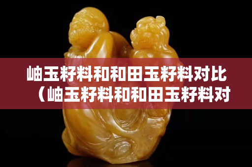 岫玉籽料和和田玉籽料对比（岫玉籽料和和田玉籽料对比哪个好）