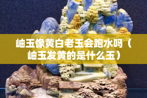 岫玉像黄白老玉会跑水吗（岫玉发黄的是什么玉）