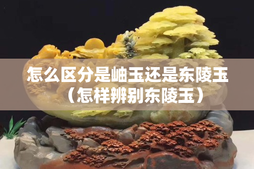 怎么区分是岫玉还是东陵玉（怎样辨别东陵玉）