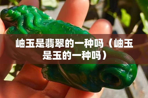 岫玉是翡翠的一种吗（岫玉是玉的一种吗）