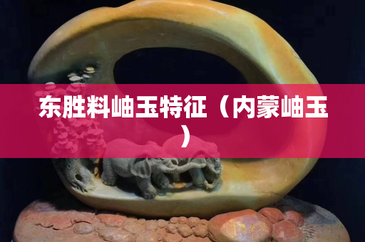 东胜料岫玉特征（内蒙岫玉）