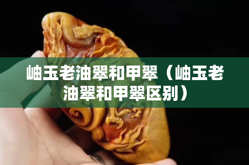 岫玉老油翠和甲翠（岫玉老油翠和甲翠区别）
