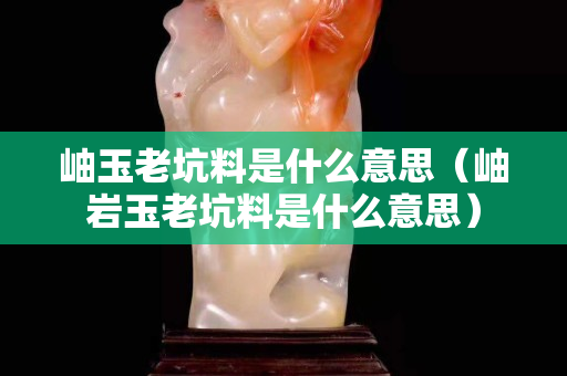 岫玉老坑料是什么意思（岫岩玉老坑料是什么意思）