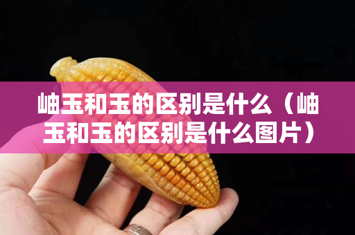 岫玉和玉的区别是什么（岫玉和玉的区别是什么图片）