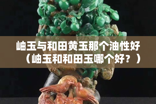 岫玉与和田黄玉那个油性好（岫玉和和田玉哪个好？）