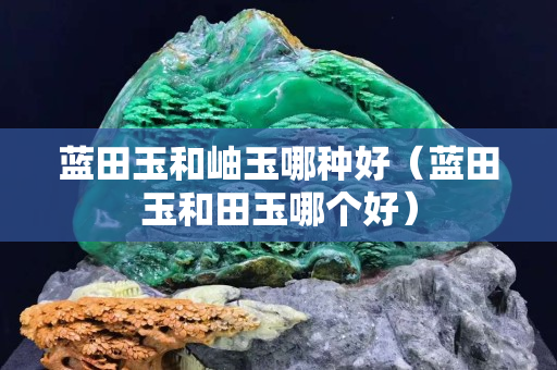 蓝田玉和岫玉哪种好（蓝田玉和田玉哪个好）