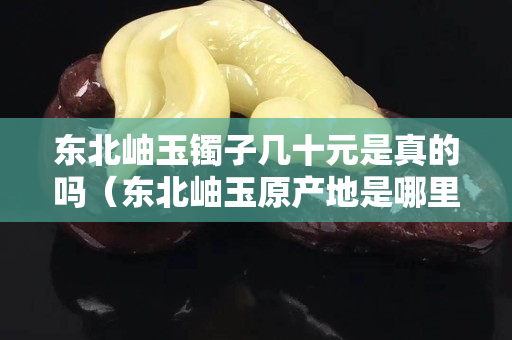 东北岫玉镯子几十元是真的吗（东北岫玉原产地是哪里）