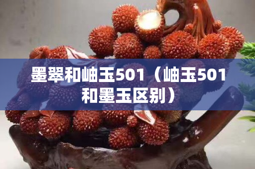 墨翠和岫玉501（岫玉501和墨玉区别）