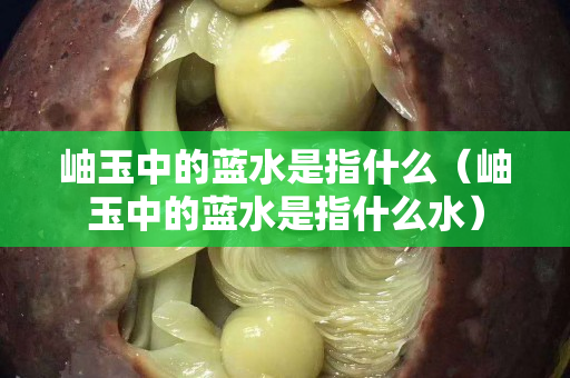 岫玉中的蓝水是指什么（岫玉中的蓝水是指什么水）