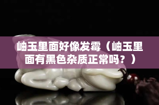 岫玉里面好像发霉（岫玉里面有黑色杂质正常吗？）