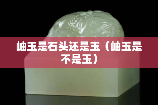 岫玉是石头还是玉（岫玉是不是玉）