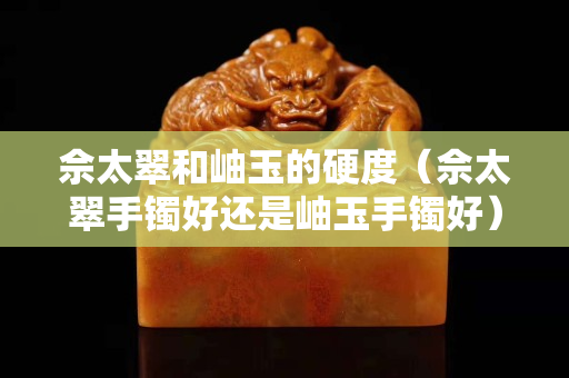 佘太翠和岫玉的硬度（佘太翠手镯好还是岫玉手镯好）