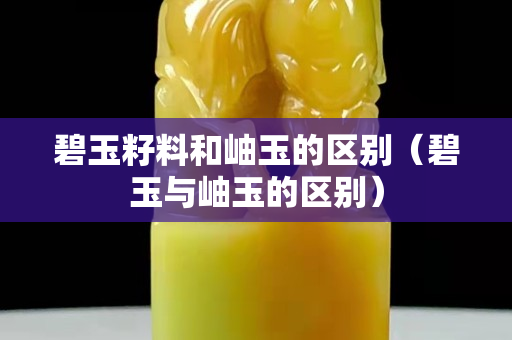 碧玉籽料和岫玉的区别（碧玉与岫玉的区别）