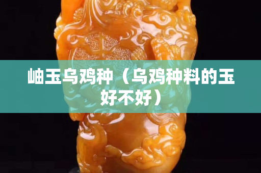 岫玉乌鸡种（乌鸡种料的玉好不好）