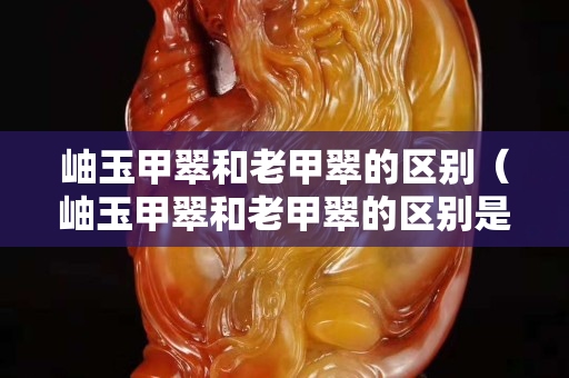 岫玉甲翠和老甲翠的区别（岫玉甲翠和老甲翠的区别是什么）